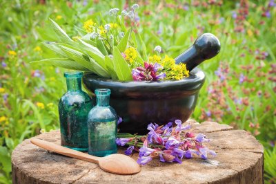 Medicinal Herb Gardening