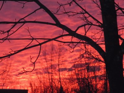 Colourful winter sunrise