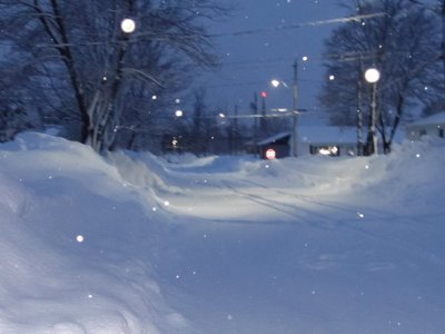 Our street in the evening snow