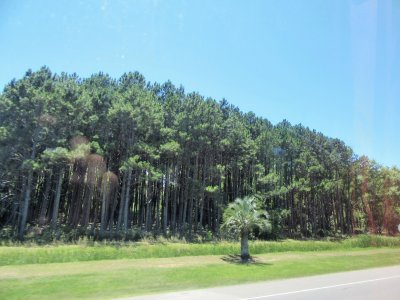 CampiÃ±a de Uruguay.