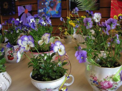 Pretty Tea Cup Planters