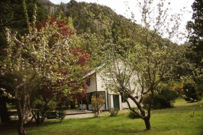 Casa en el bosque