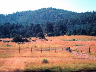 Sierra Tarahumara, Chihuahua.