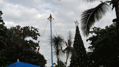 Voladores de Papantla en Playa del Carmen.