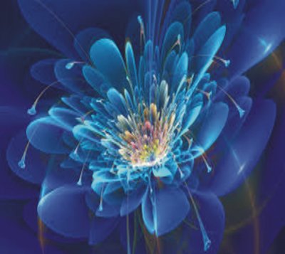 Blue flower