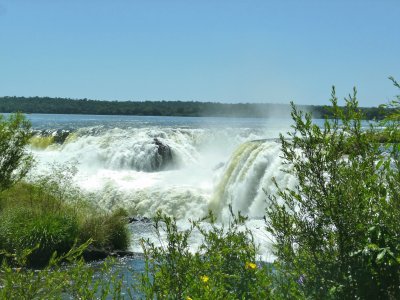 Argentine Iguazu