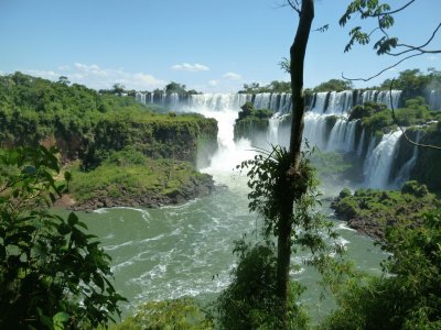 Argentine Iguazu