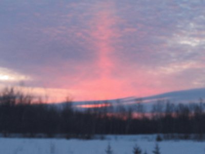 Pink spotlight in sunrise