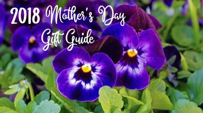 2018 Mother 's Day Gift Guide