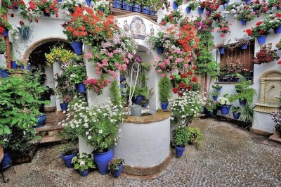 Patio de Cordoba