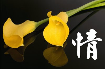 èŠ±èˆ‡é¡Œå­—