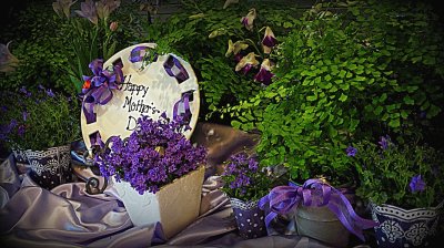 Pretty Mother 's Day Garden Still Life