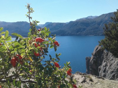 lago traful argentina