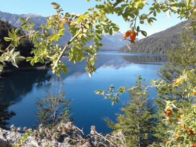 villa la angostura argentina