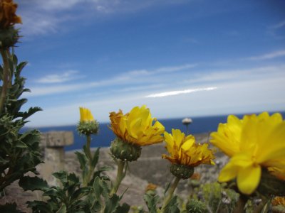 puerto madryn argentina