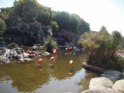 temayken argentina