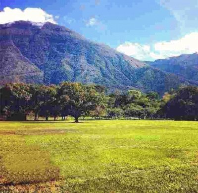 Cerro El Ãvila, Caracas, Venezuela