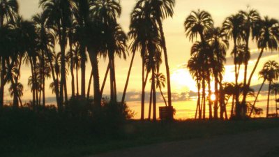 Atardecer en el Palmar