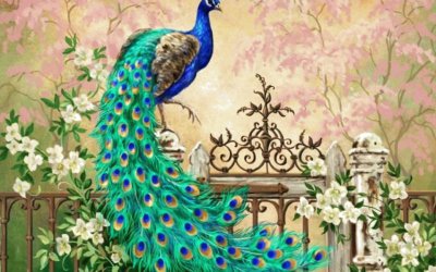 peacock