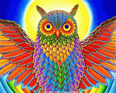 Rainbow Owl