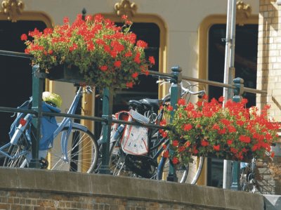 Bicycles with flowers