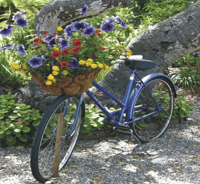 Bicycles with flowers