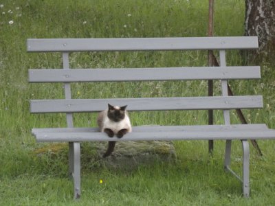 mia sur son banc