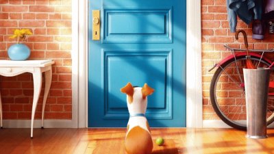 secret life of pets