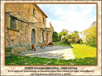 PUERTO POLLENSA (MALLORCA) â€“ FINCA RÃšSTICA