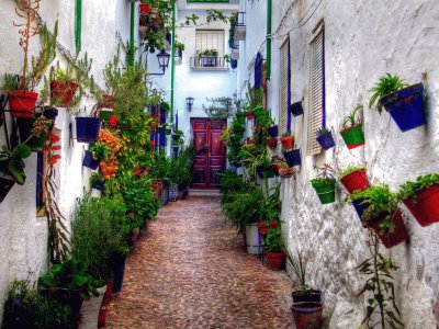 Patio de Cordoba