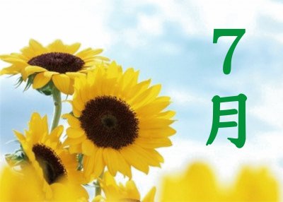 7æœˆ