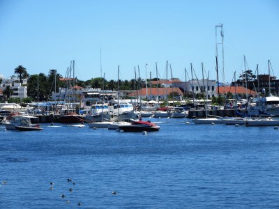 Yates en Punta del Este, Uruguay.