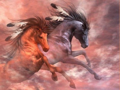 Indian horses