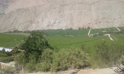 Valle del Elqui