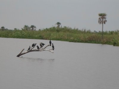 Parque Nacional Rio Pilcomayo. Formosa