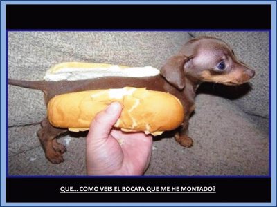 QUE... COMO VEIS EL BOCATA QUE ME HE MONTADO?