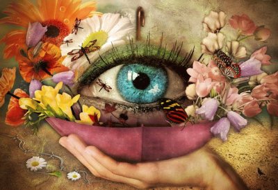 Eye with Flowers