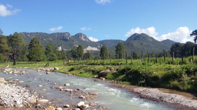 arroyo de la quinta