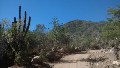 camino en la sierra