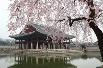 PalÃ¡cio Gyeongbok