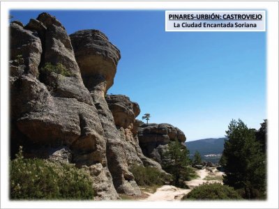 PINARES-URBIÃ“N: CASTROVIEJO