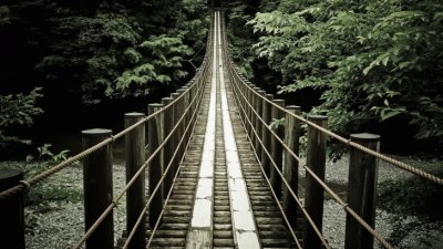 wooden brigde