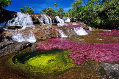 RIOS E MARES: RIO CAÃ‘O CRISTALES (COLÃ”MBIA)