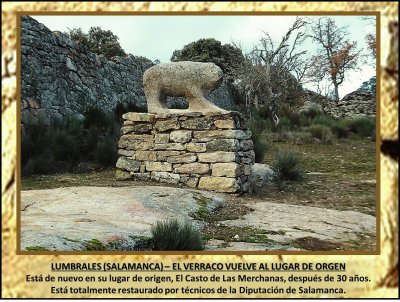 LUMBRALES (SALAMANCA) â€“ EL VERRACO VUELVE AL LUGAR DE ORGEN