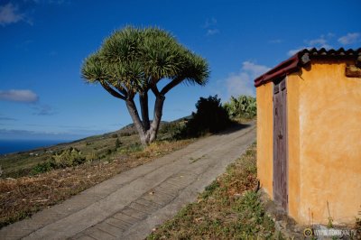 CASA AMARILLA