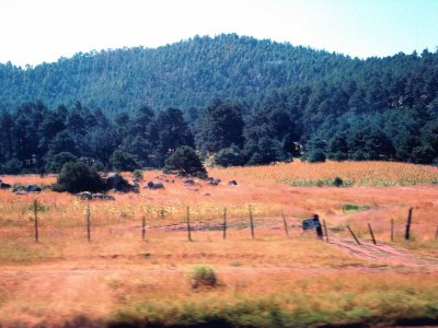 SerranÃ­a chihuahuense.