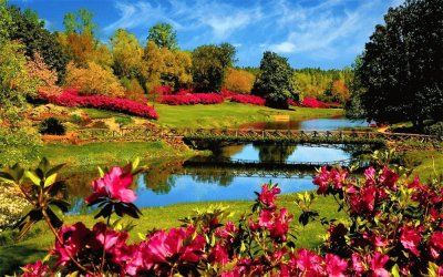 Floral Pond