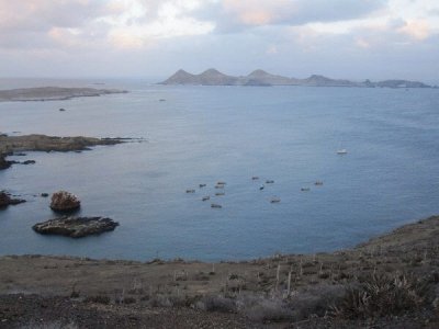 Islas San Benito