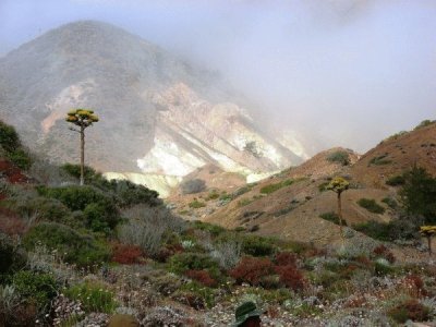 Neblina en la sierra