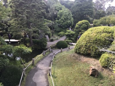 Japanese Tea â€˜s garden